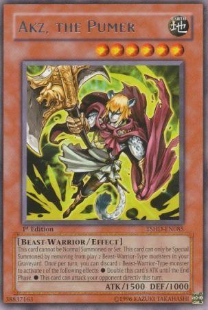 Akz, the Pumer [1st Edition] TSHD-EN085