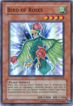Bird of Roses TSHD-EN018