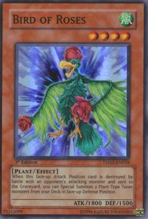 Bird of Roses [1st Edition] TSHD-EN018