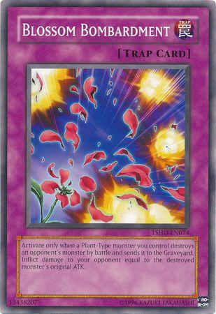 Blossom Bombardment TSHD-EN074