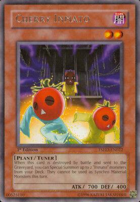 Cherry Inmato [1st Edition] TSHD-EN022