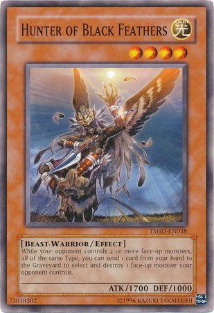 Hunter of Black Feathers TSHD-EN038