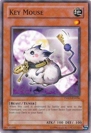 Key Mouse TSHD-EN036