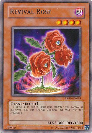 Revival Rose TSHD-EN016
