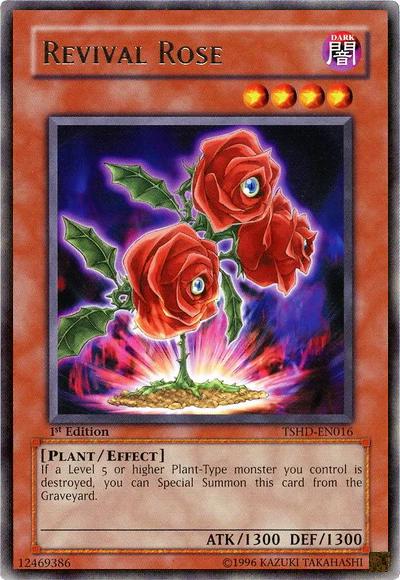 Revival Rose [1st Edition] TSHD-EN016