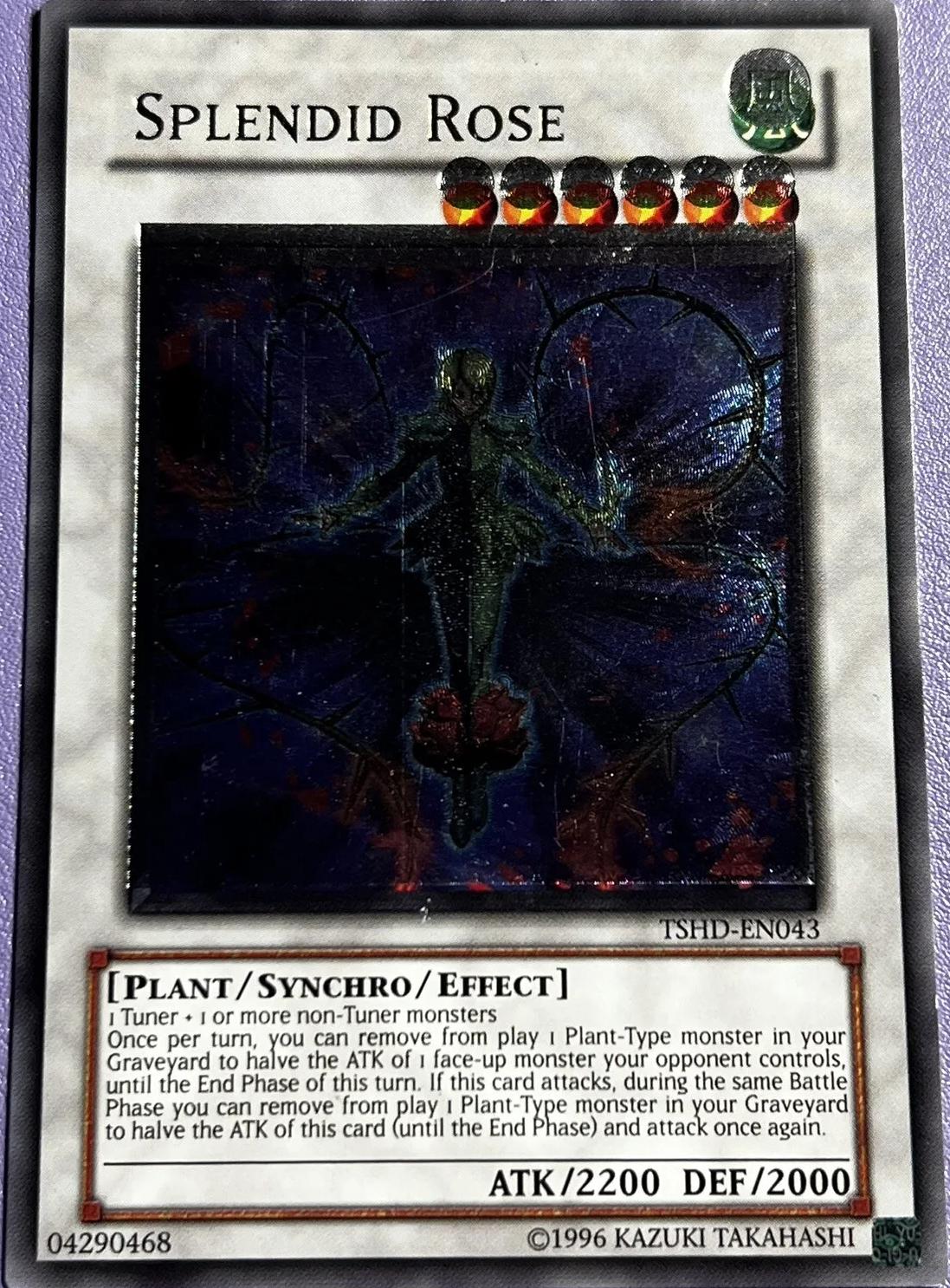Splendid Rose [Misprint] TSHD-EN043