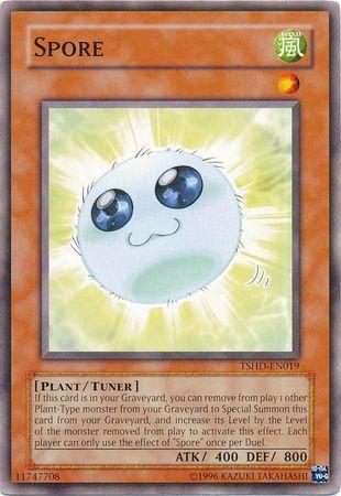 Spore TSHD-EN019