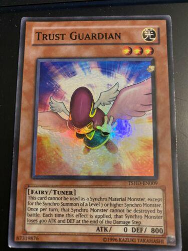 Trust Guardian TSHD-EN009