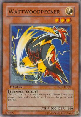 Wattwoodpecker [1st Edition] TSHD-EN027