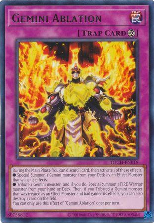 Gemini Ablation TOCH-EN019