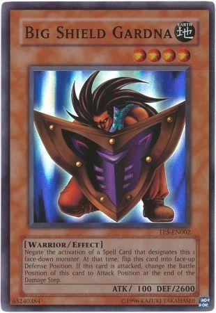 Big Shield Gardna TP5-EN002