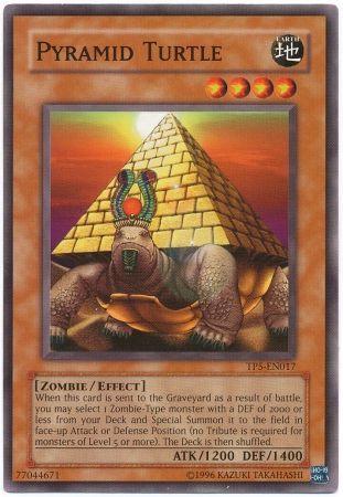 Pyramid Turtle TP5-EN017