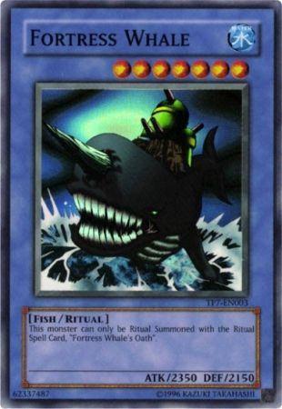 Fortress Whale TP7-EN003