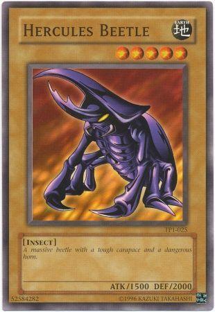 Hercules Beetle TP1-025