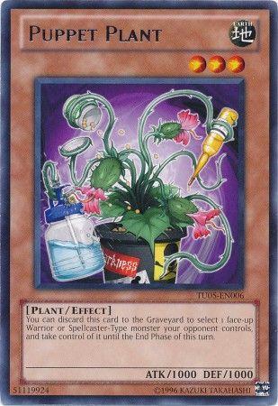 Puppet Plant TU05-EN006