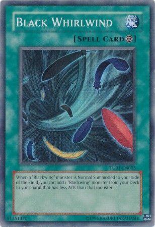 Black Whirlwind TU01-EN005