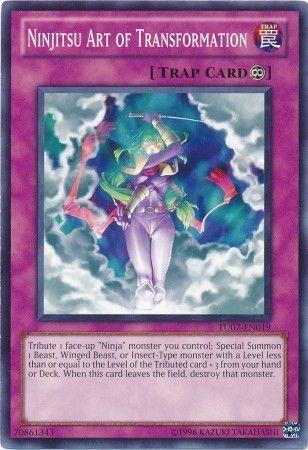 Ninjitsu Art of Transformation TU07-EN019