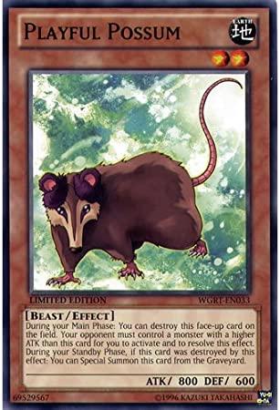 Playful Possum WGRT-EN033