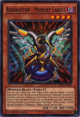 Raidraptor - Mimicry Lanius WIRA-EN020