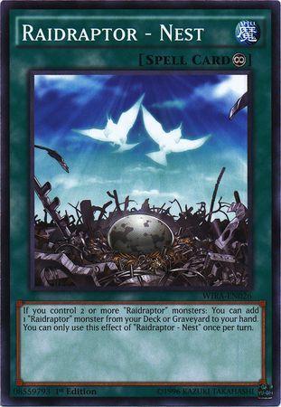 Raidraptor - Nest WIRA-EN026