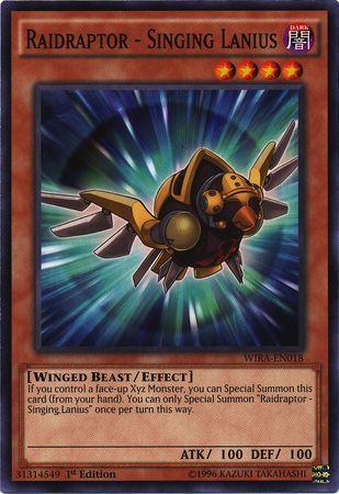 Raidraptor - Singing Lanius WIRA-EN018