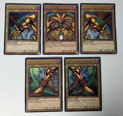 Glory of the King's Hand [1st Edition]