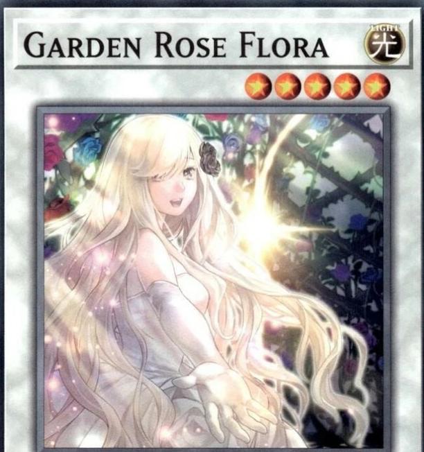 Garden Rose Flora L5DD-ENA33