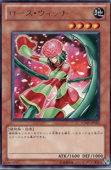 Rose Witch VJMP-JP052