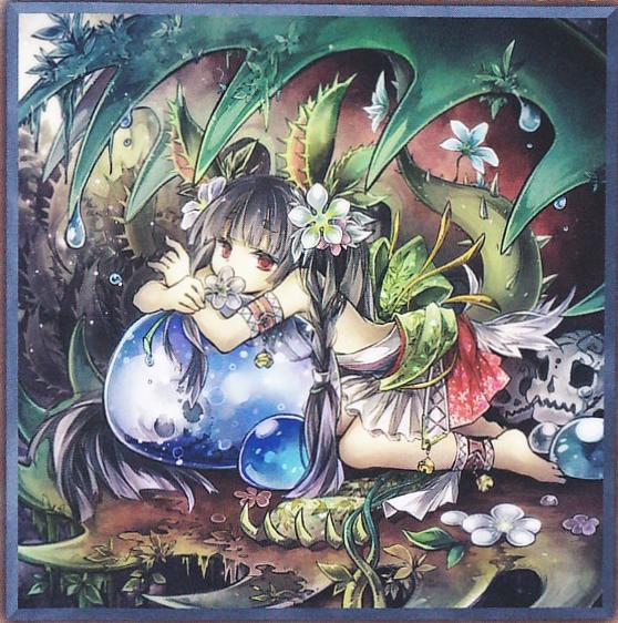 Traptrix Dionaea PRIO-JP025