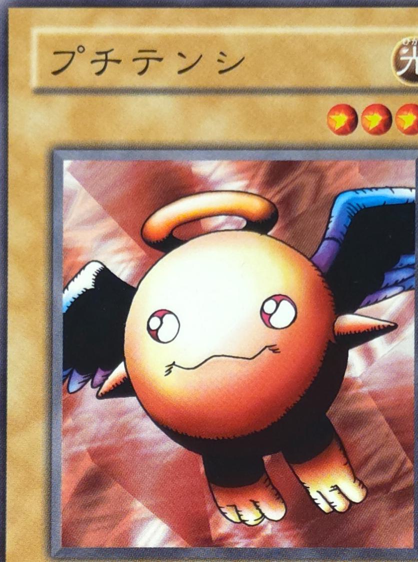 Petit Angel LB-24