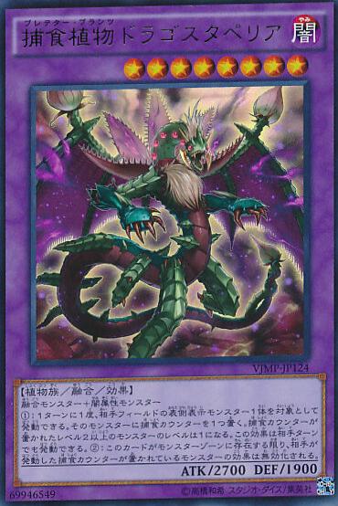 Predaplant Dragostapelia VJMP-JP124